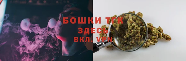 шишки Верея